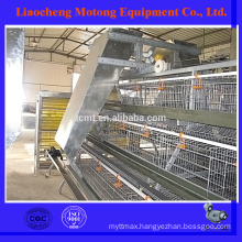 quail chicken cage / poultry raising system